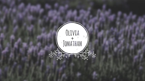 Wedding Titles Pack - 10