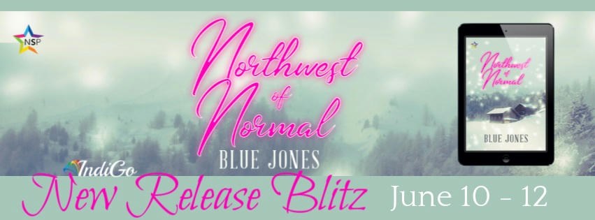 Blue Jones - Northwest of Normal RB Banner