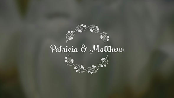 Wedding Titles Pack - 1