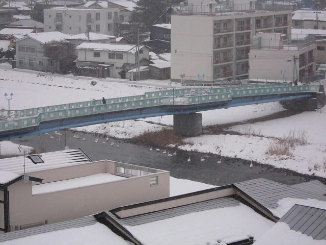 写真（盛岡その3）