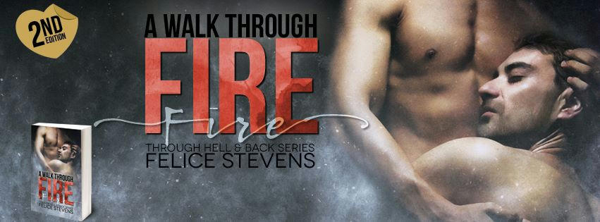 Felice Stevens - A Walk Through Fire Banner