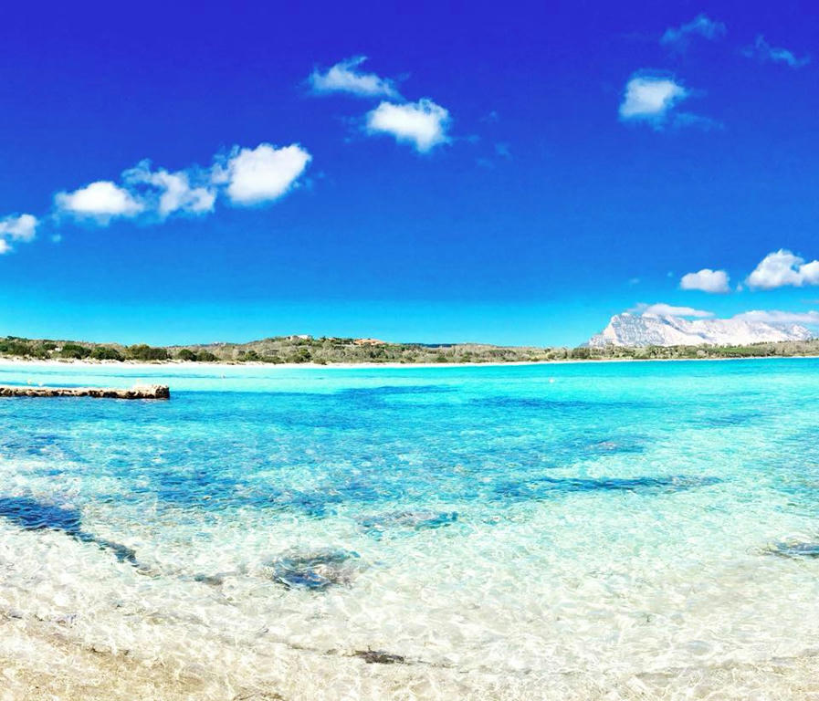 San Teodoro Ot Festa Dautunno A Cala Brandinchi
