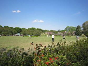 写真（神代植物公園その18）