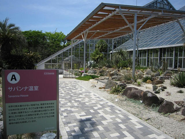 写真（筑波実験植物園その6）