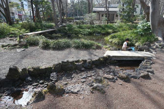 写真（白滝公園その4）