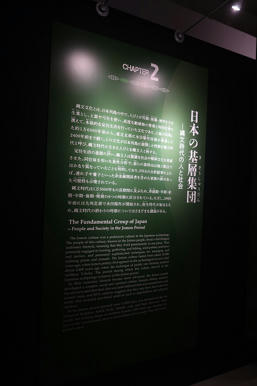写真（古代DNAその3）