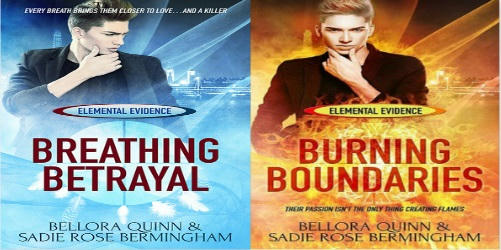 Bellora Quinn and Sadie Rose Bermingham - Elemental Evidence Banner