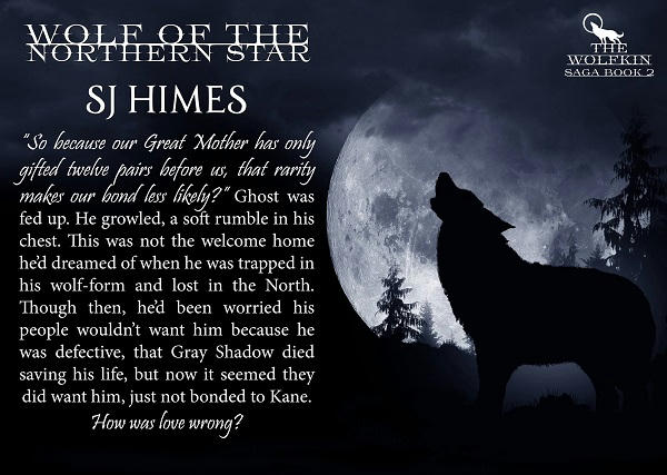 S.J. Himes - Wolf of the Northern Star teaser 1