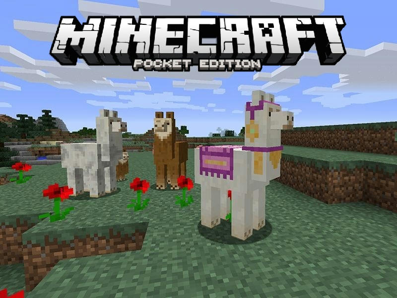 Minecraft Pocket Edition Community ( MCPEC )