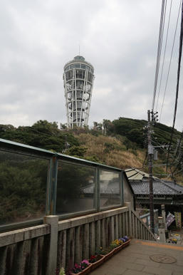 写真（江の島その14）
