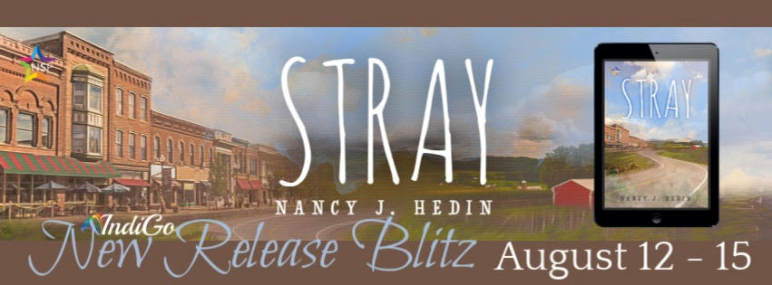 Nancy J. Hedin - Stray Banner