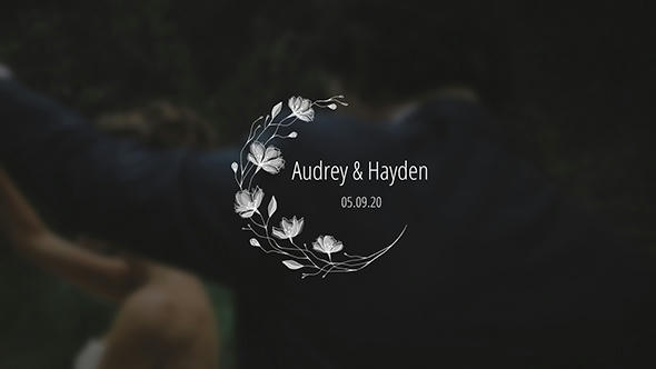 Wedding Titles Pack - 7