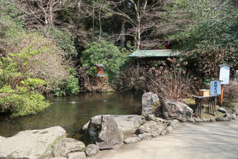 写真（箱根神社その17）