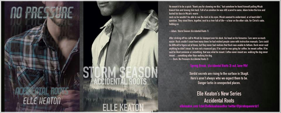 Elle Keaton - Accidental Roots Banner 1