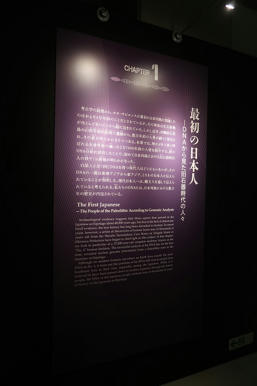 写真（古代DNAその2）