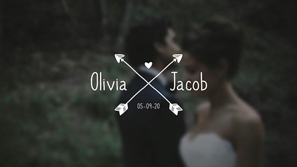 Wedding Titles Pack - 12