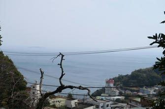 写真（伊豆山神社その20）