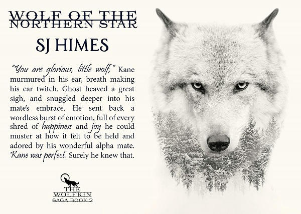S.J. Himes - Wolf of the Northern Star teaser 2