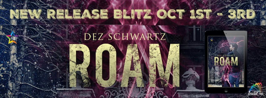 Dez Schwartz - Roam RB Banner
