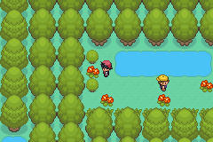[PokeCommunity.com] Pokémon Adventure - Red Chapter NEW BETA + EXPANSION