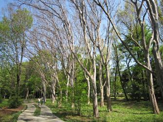 写真（神代植物公園その16）