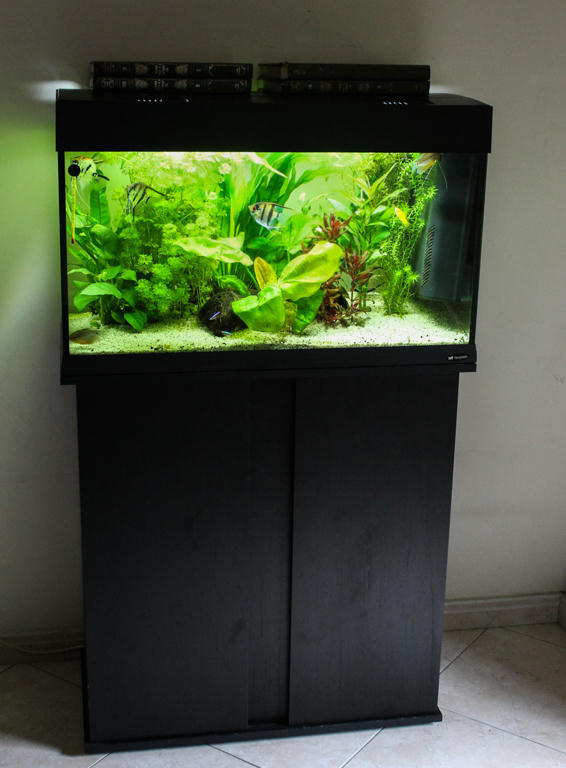 Acquario da 30 lt completo di accessori e mobiletto