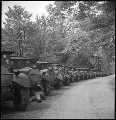 Simple, Free Image and File Hosting at MediaFire