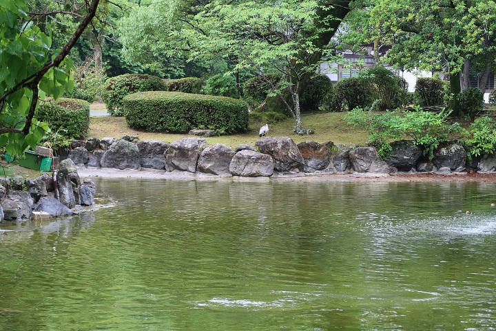 写真（宗像大社その2）