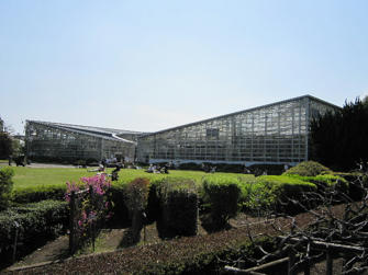 写真（神代植物公園その7）