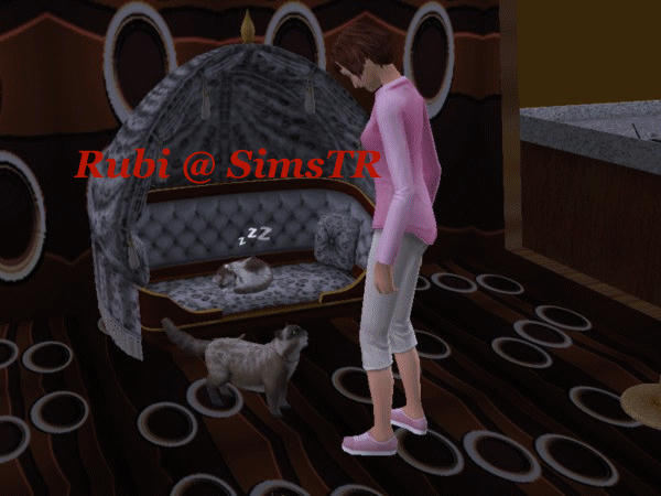 The Sims 2 Pets Teach Command Play Dead