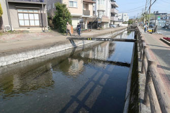 写真（桜川その3）