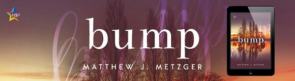 Matthew J. Metzger - Bump NineStar Banner