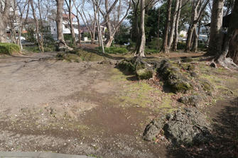 写真（白滝公園その1）