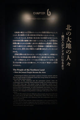 写真（古代DNAその19）