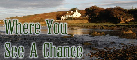 Alexa Milne - Where You See A Chance Banner