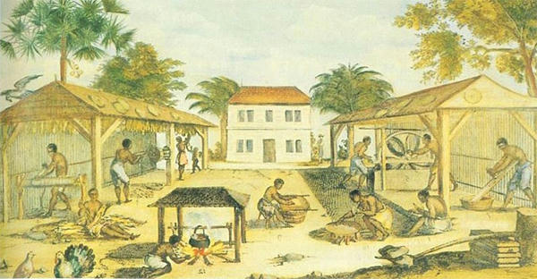 An image of slaves processing tobacco