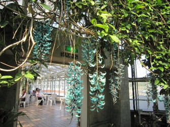 写真（神代植物公園その10）