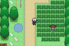 [PokeCommunity.com] (Cancelled)Pokémon Black Redux - The definitve B&W gba demake!