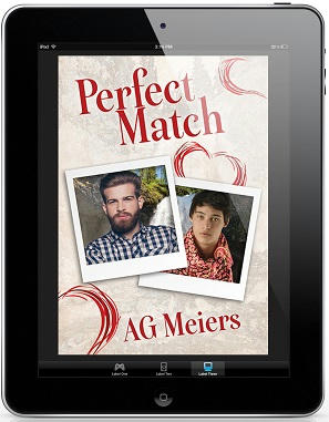 A.G. Meiers - Perfect Match 3d Cover