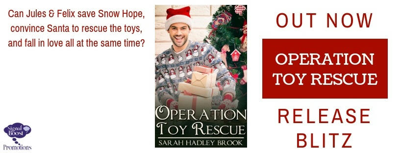 Sarah Hadley Brook - Operation Toy Rescue RBBanner-24