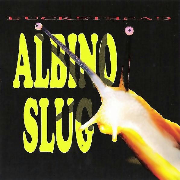 Albino Slug Album Art