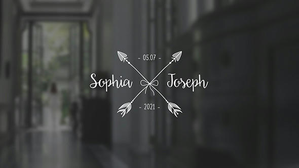 Wedding Titles Pack - 3