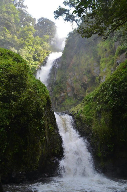 Las 10 Mejores Cascadas De México. 4 jsw0fb87sgarslm6g cascadas natura