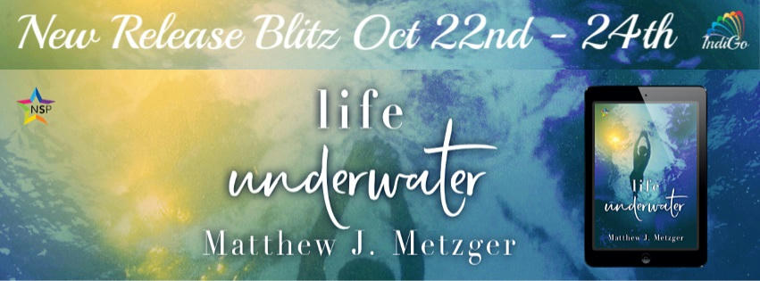Matthew J. Metzger - Life Underwater RB Banner 