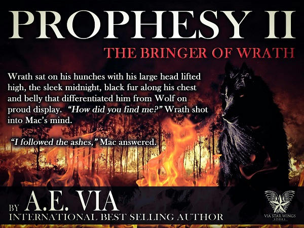 A.E. Via - Prophesy Book #2 The Bringer of Wrath Promo 3
