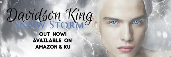Davidson King - Snow Storm Banner