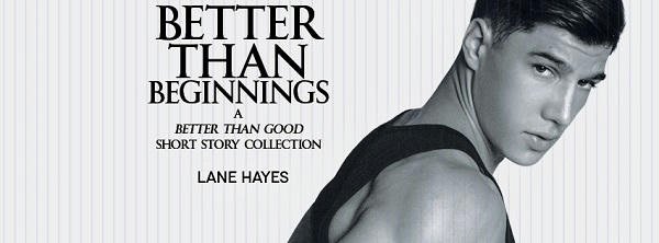 Lane Hayes - Better Than Beginnings Banner s