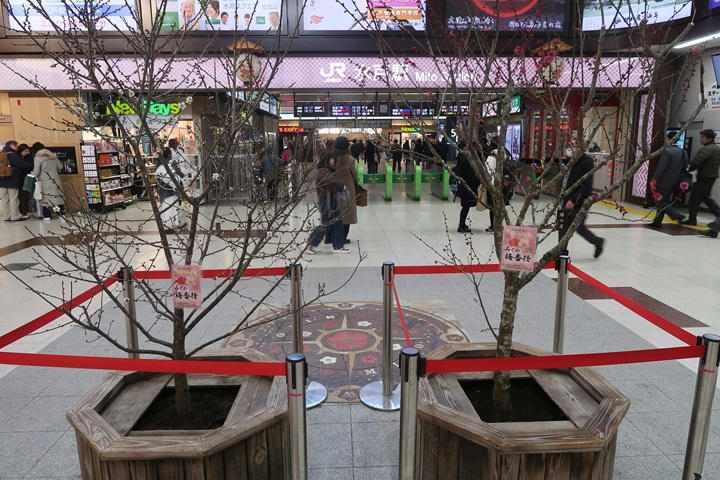 写真（水戸駅前その5）