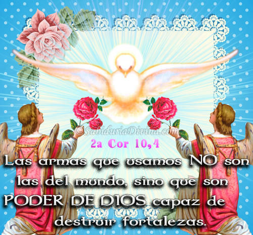 My Image 27