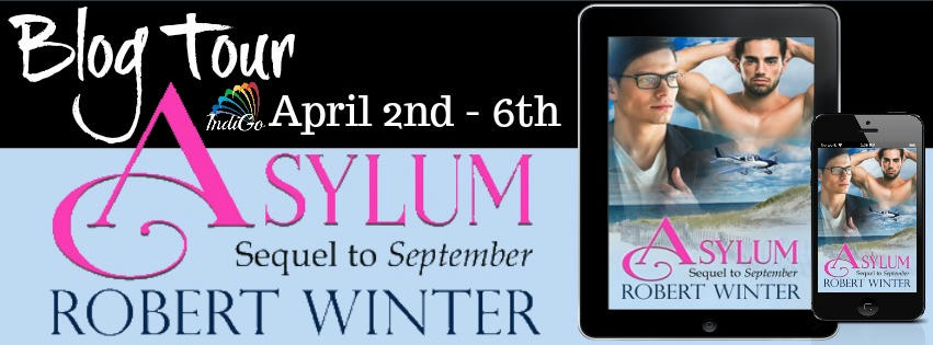Robert Winter - Asylum Blog Tour Banner 2